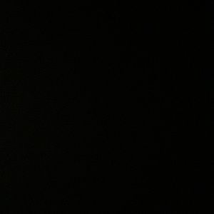 Meet your Posher, Jamyah